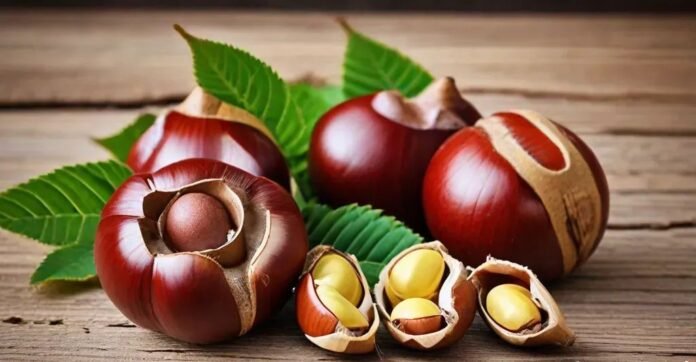 horse chestnut benefits for human