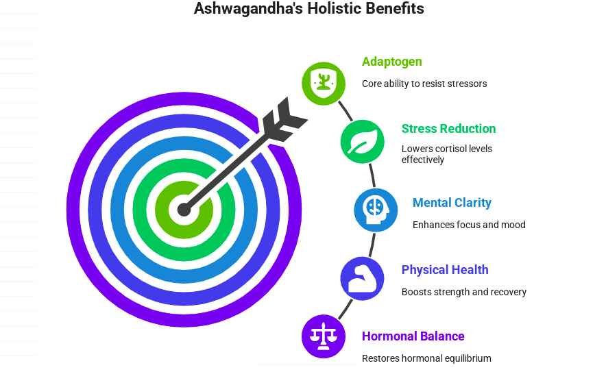Holistic Benefiits of Ashwagandha