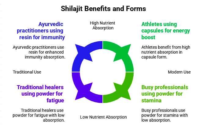 Forms of Shilajit and their specifics use and benefits