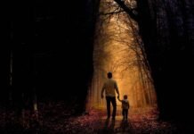 Kids Film Photography Tips : A Story From the Field Kids Film Photography Tips : A father and son, holding hands, walk into a bright, golden-lit forest path. Represents the journey of teaching kids photography and film photography lessons.