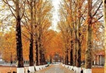 How Digital Directories are Transforming the Way We Experience Pakistan Pakistan Places